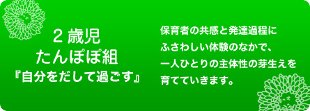 2歳児　たんぽぽ組